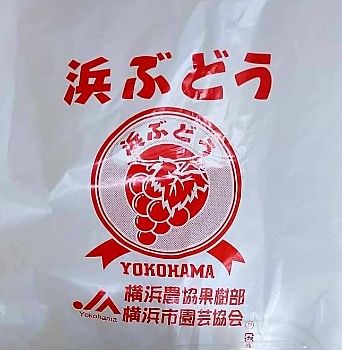 横浜には美味しいブドウのブランドがある！！その名も「浜ぶどう」♡