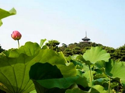 四季折々、そして蓮の花が見ごろな「三渓園」横浜市中区本牧エリア情報♪