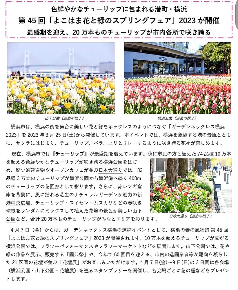 春になると季節折々の花が楽しめるのも横浜のいい所！！イベントも盛り沢山＾＾