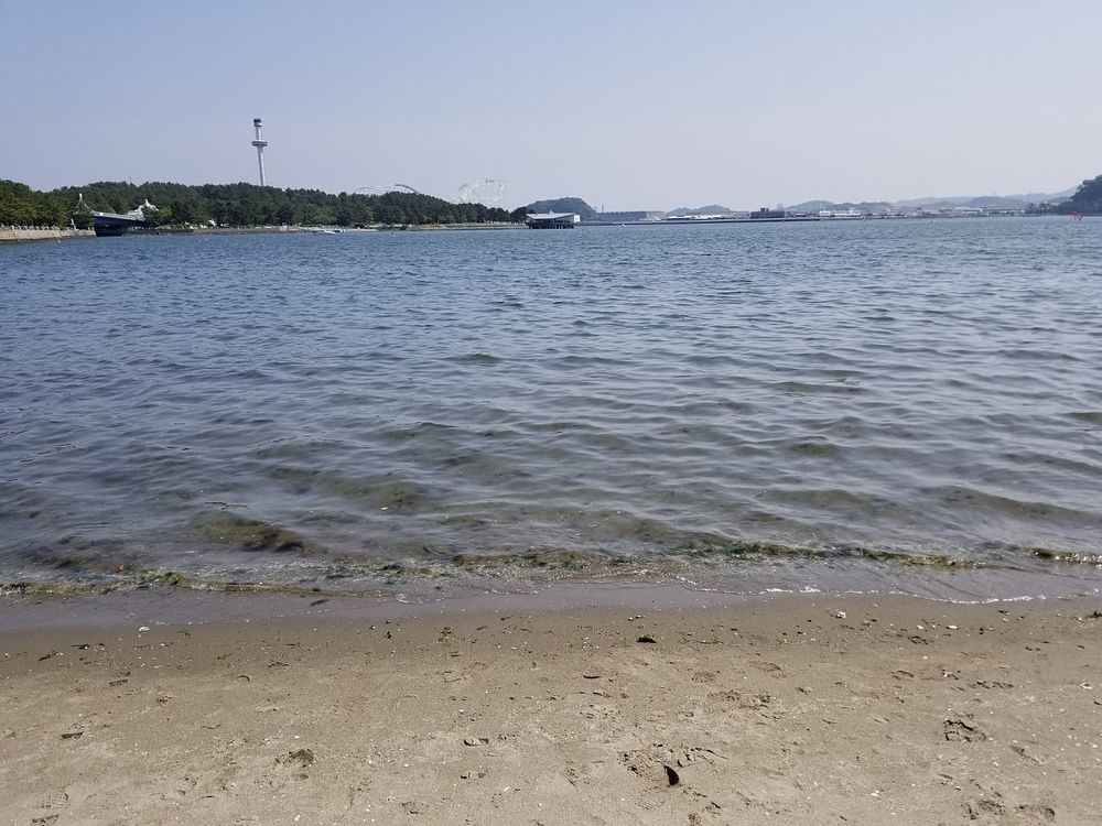 横浜市で一番近い海水浴場と言ったら八景島の「海の公園」♡