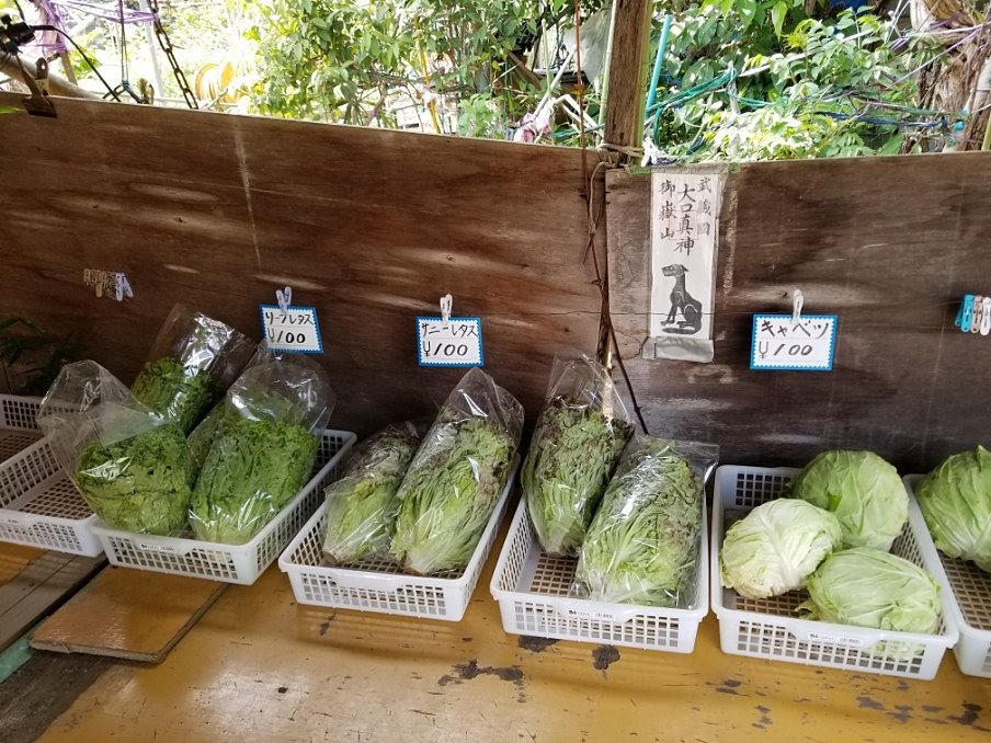ご案内の際に見つけた新鮮野菜の直売所「横浜市旭区エリア情報」♪