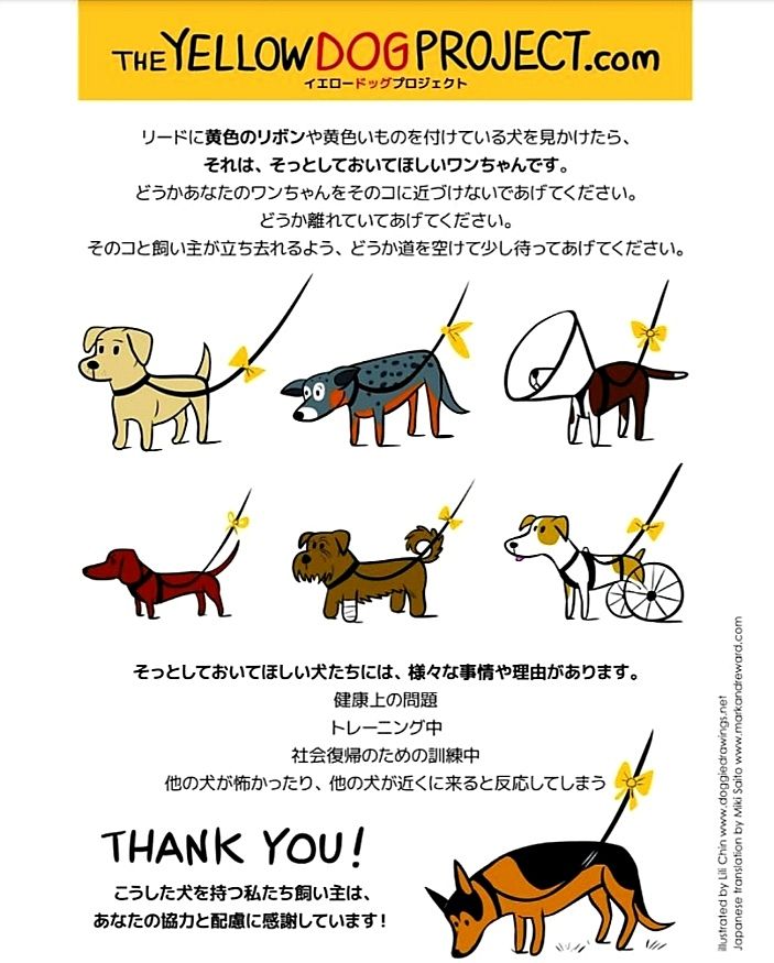 黄色いリボンなどをリードに付けている犬を見たことありますか！？