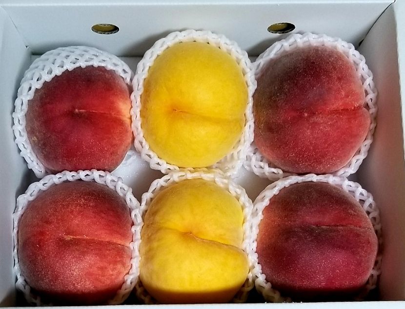 夏休みを終えた同僚の方から山梨の桃のお土産を頂きました♪