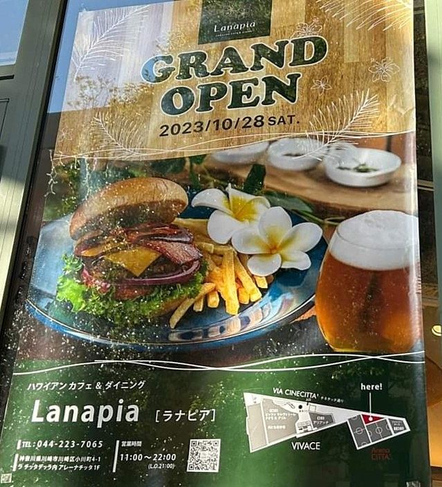 仕事で川崎に来た時にお邪魔した、オシャレなハワイアンレストラン「ラナピア」♪